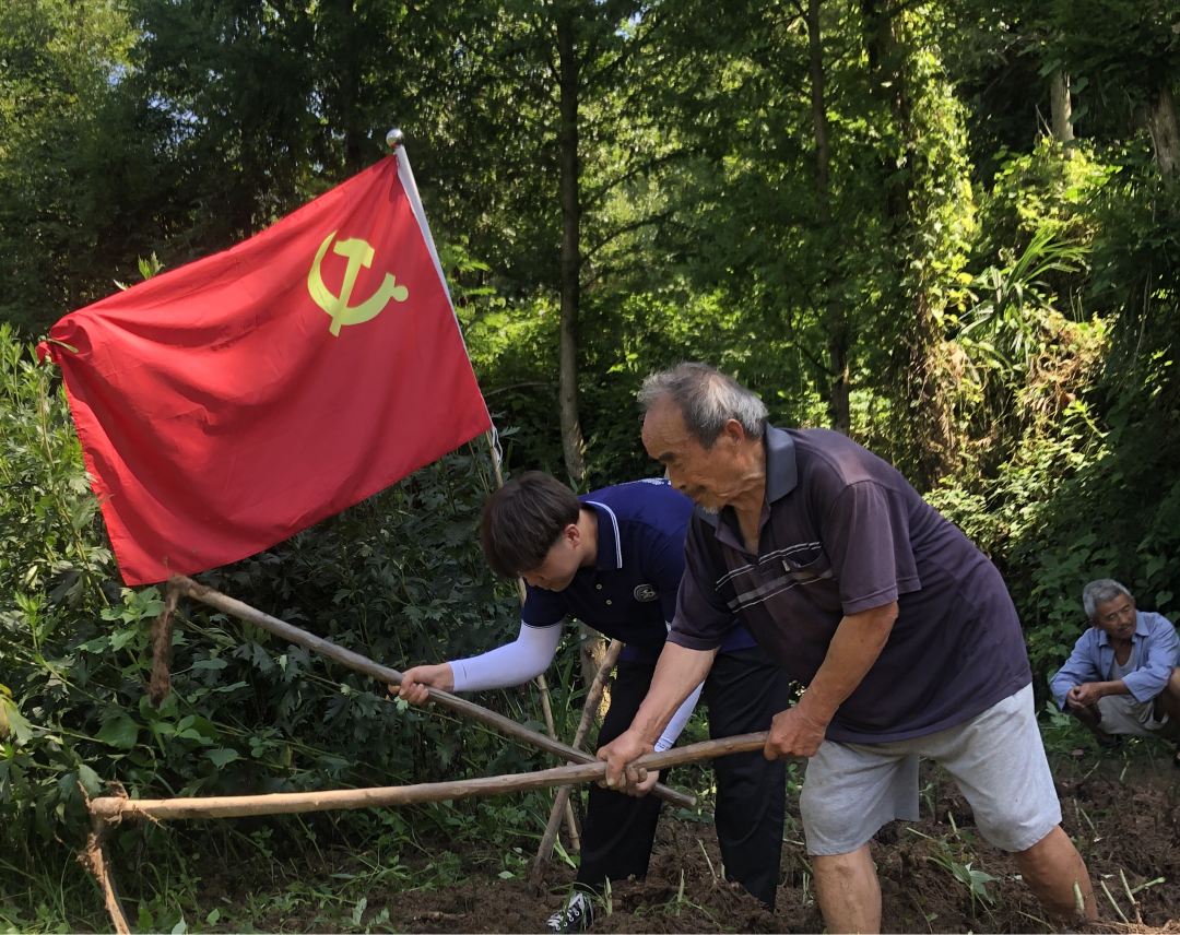 图片 图片